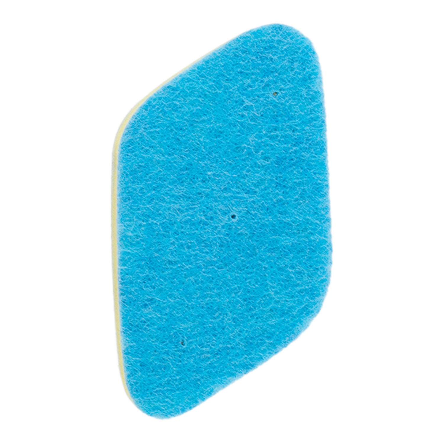 Novelty Kitchen Sponge