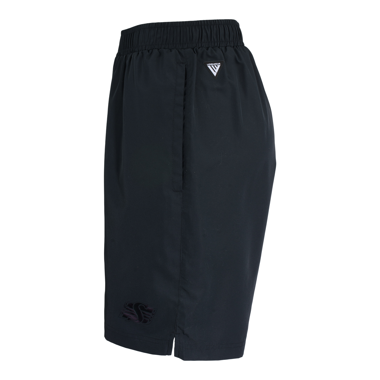 Victory Prism Shorts