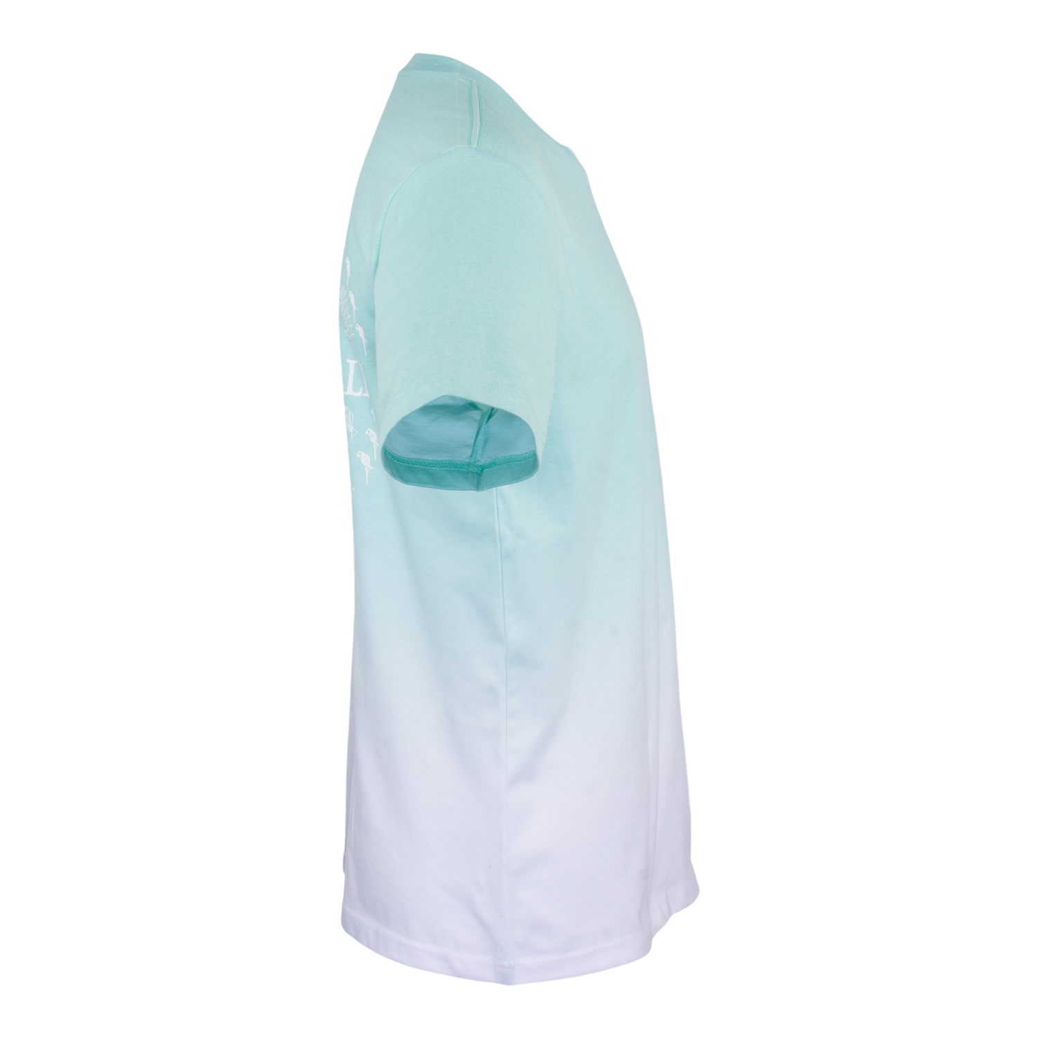 St. Somewhere Ombre Tee