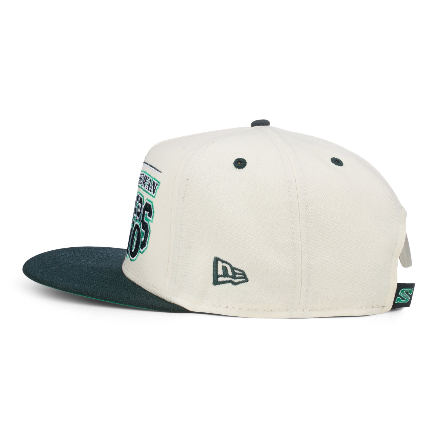 950 Alt Logo Established Arched Cap
