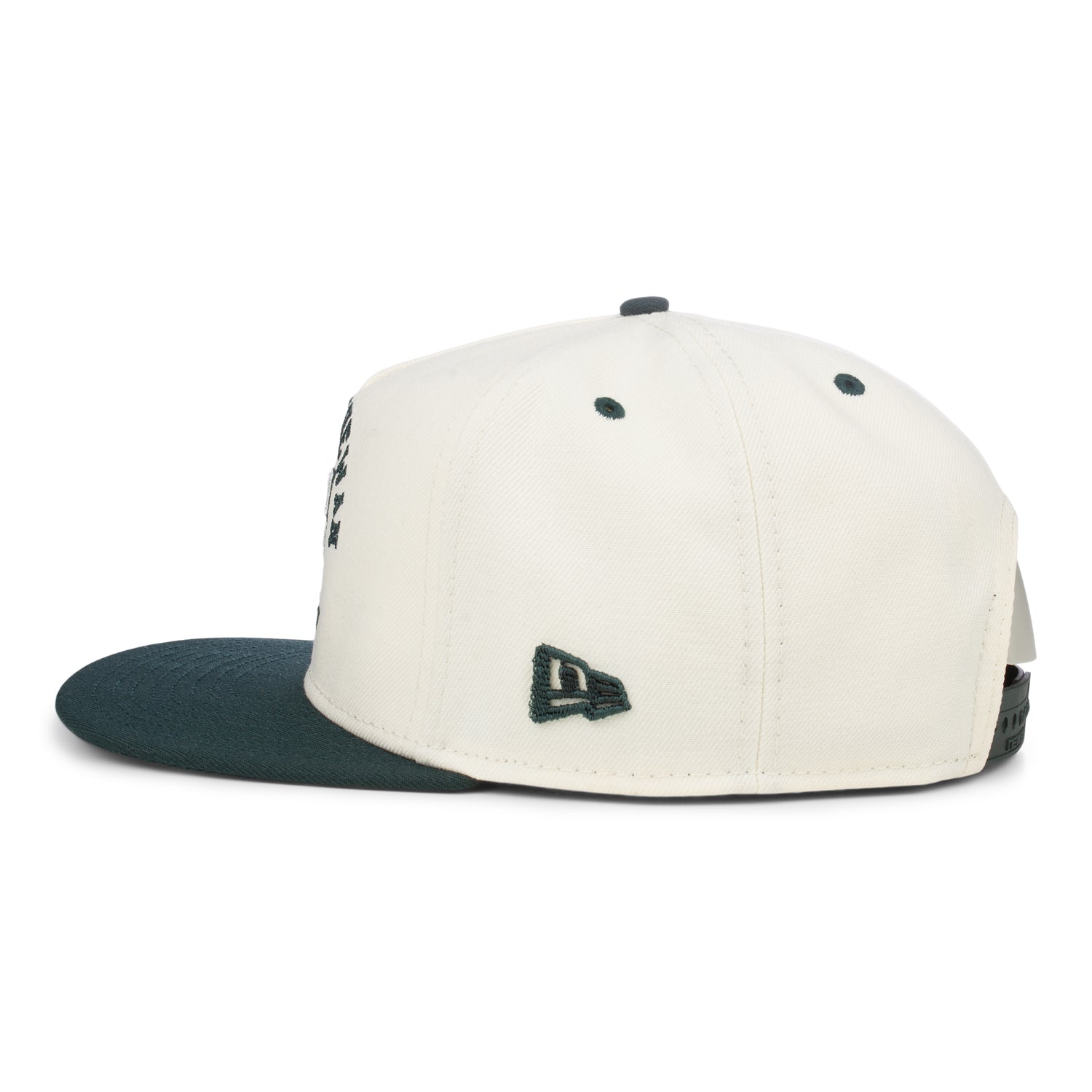 950 Alt Logo Arched Cap