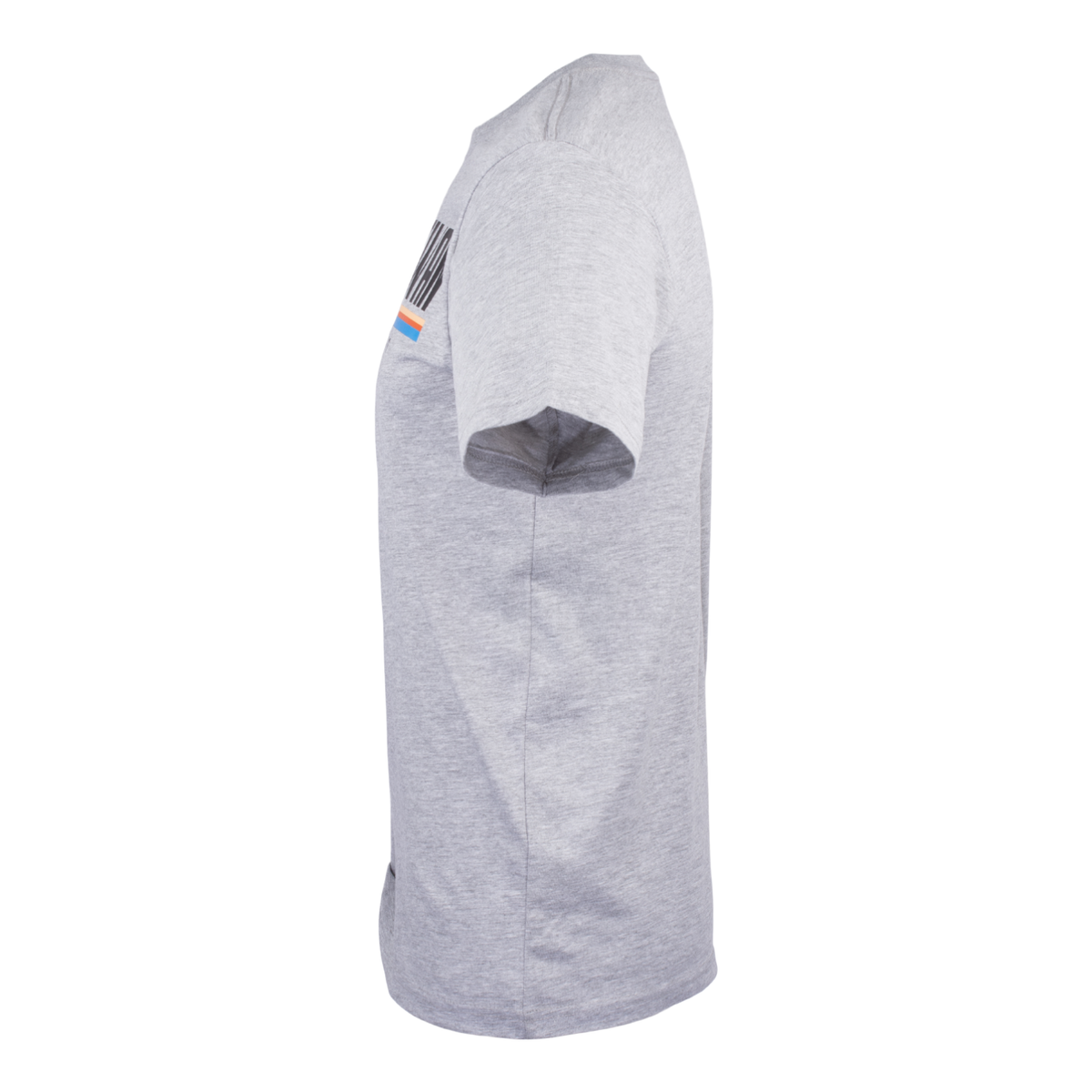 Full Colour Indigenous Logo Tee Grey