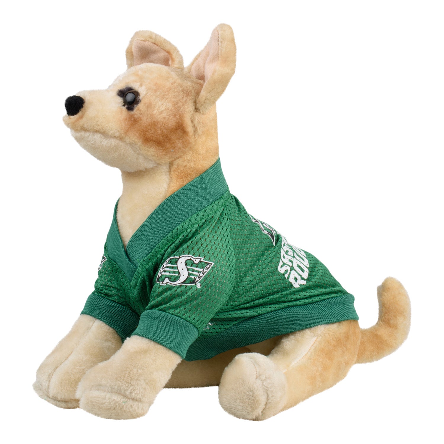 Fan Pet Raglan Jersey