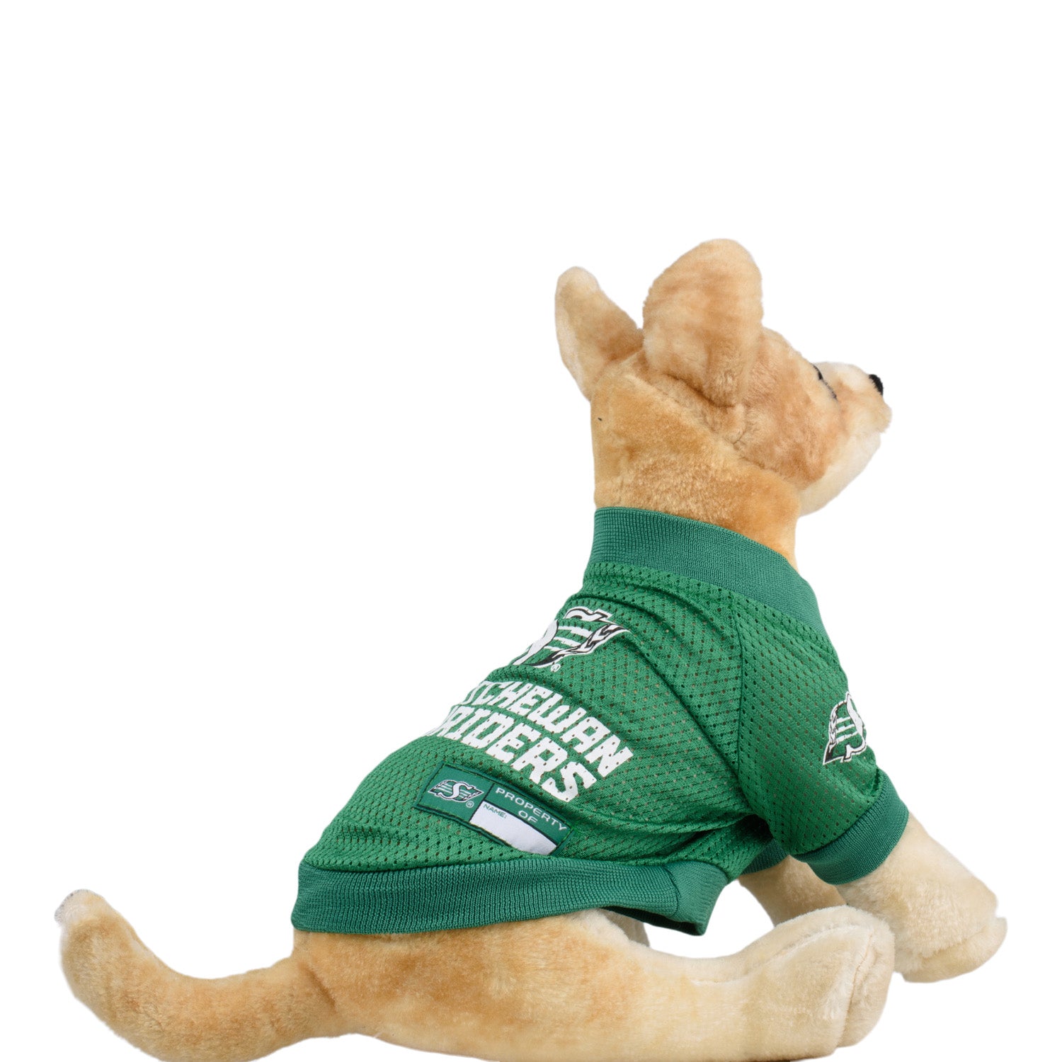 Fan Pet Raglan Jersey