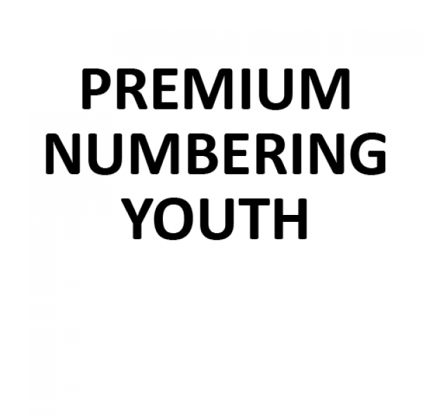 Premium Pressed Numbering - Youth
